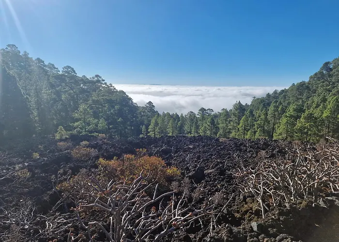 캠프장 Domo Volcano Experience Piscina Climatizada *